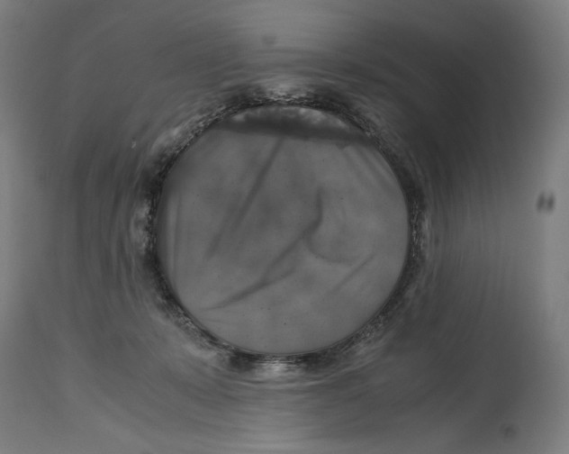 X0000114390319200911131348