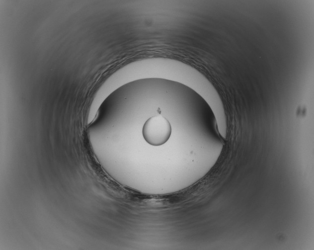 X0000114390320200911131348