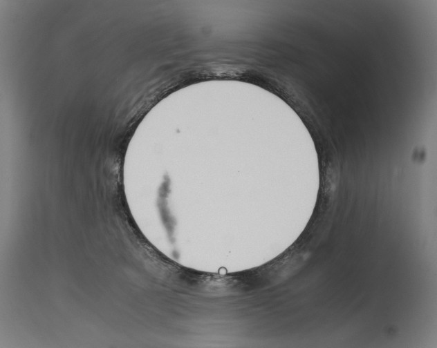 X0000114390321200911131348