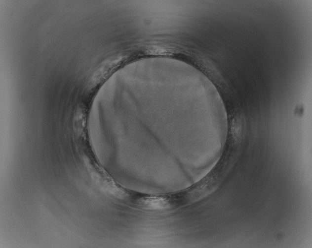 X0000114390322200911131348