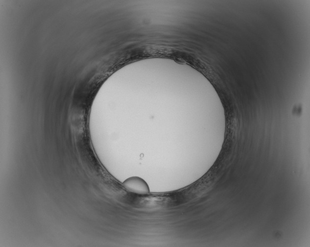 X0000114390323200911131348