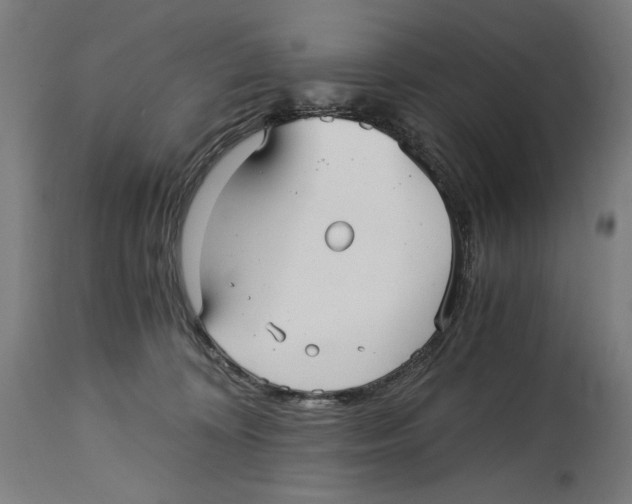 X0000114390324200911131348