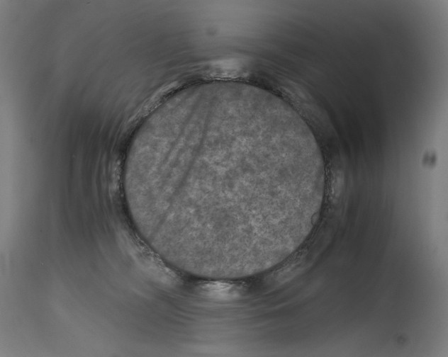 X0000114390326200911131348