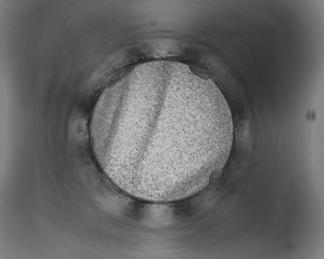 X0000114390327200911131348