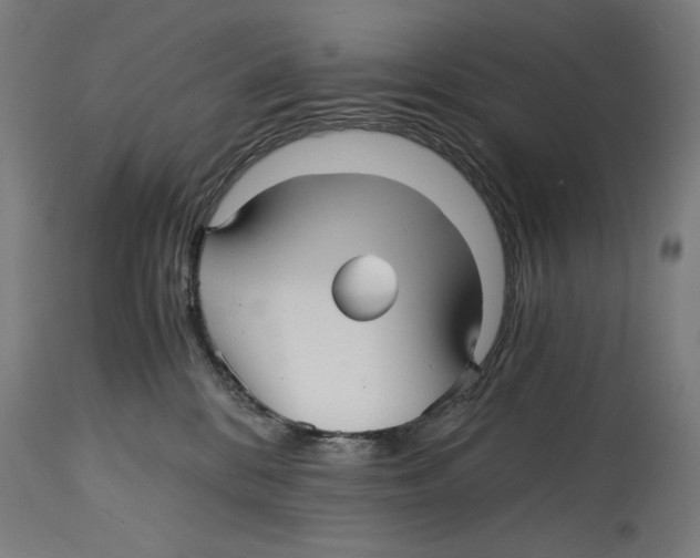 X0000114390328200911131348