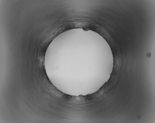 X0000114390329200911131348