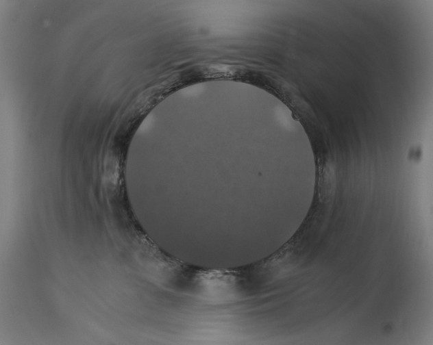 X0000114390331200911131348