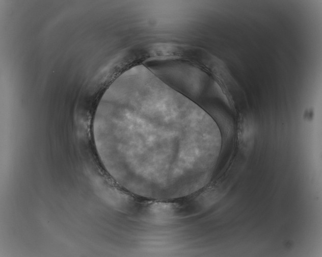 X0000114390332200911131348