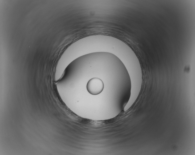 X0000114390333200911131348