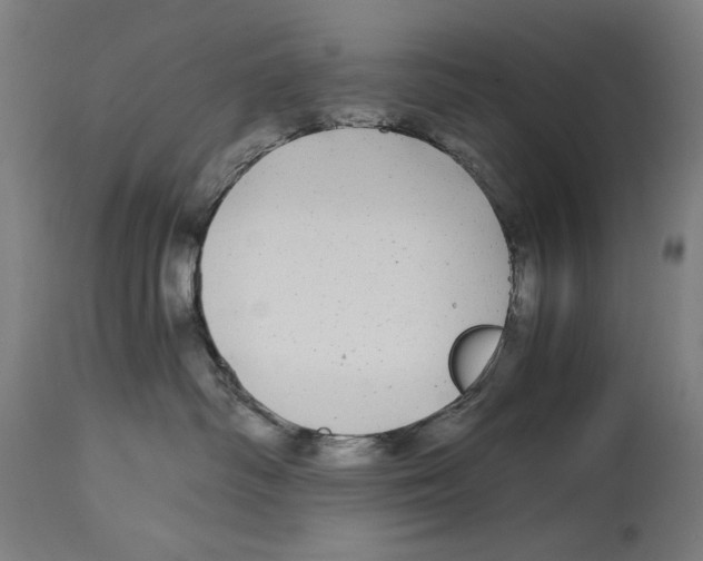 X0000114390334200911131348