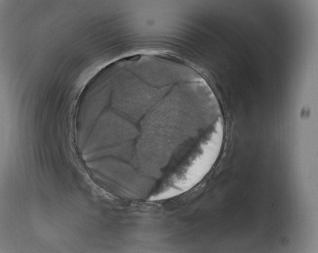 X0000114390337200911131347