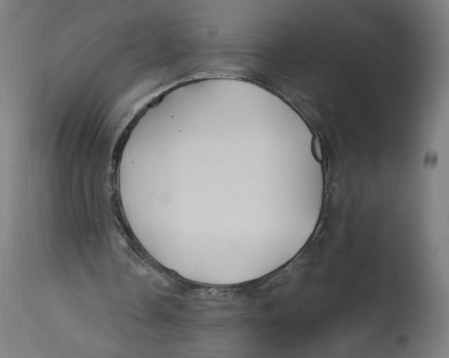 X0000114390338200911131347