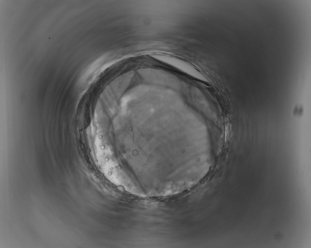 X0000114390339200911131347