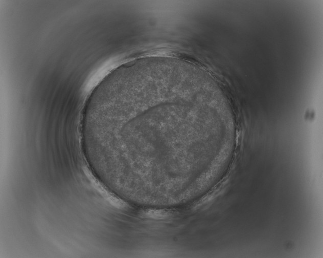 X0000114390341200911131347