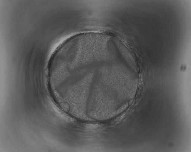 X0000114390342200911131347