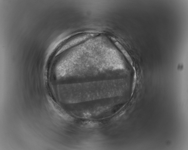 X0000114390343200911131347