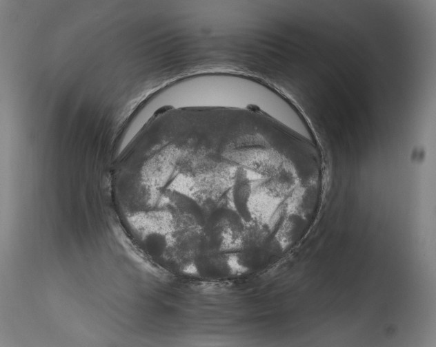 X0000114390345200911131347