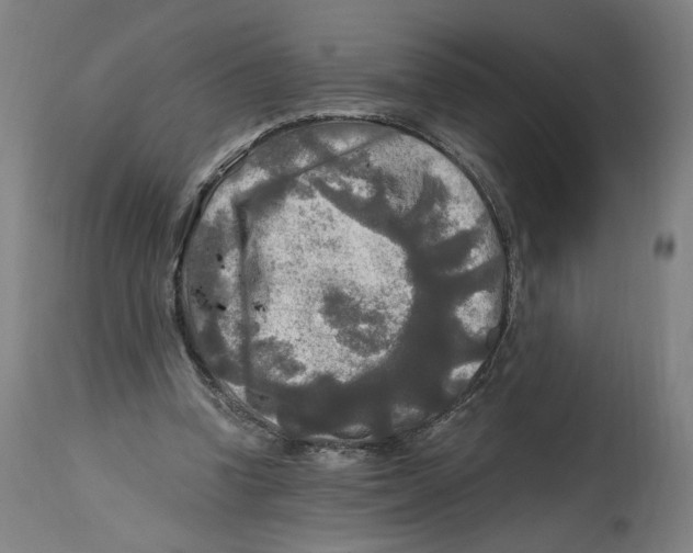 X0000114390346200911131347