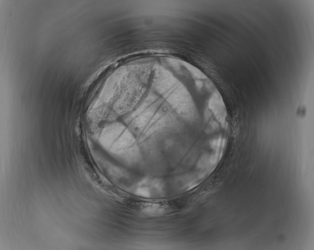 X0000114390347200911131347