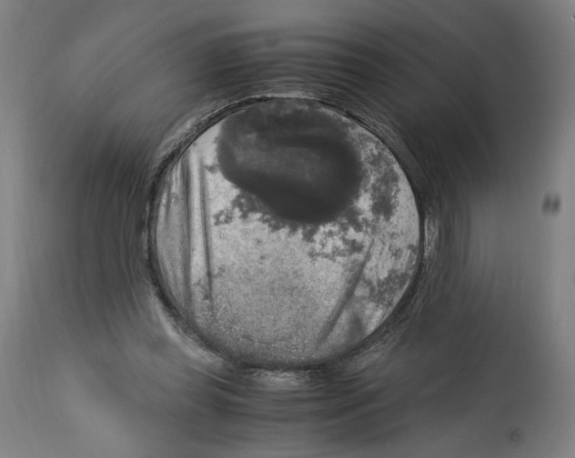 X0000114390349200911131347