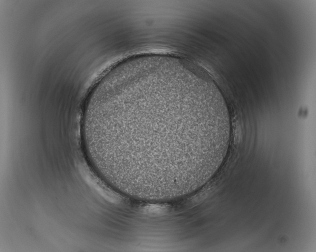 X0000114390350200911131348