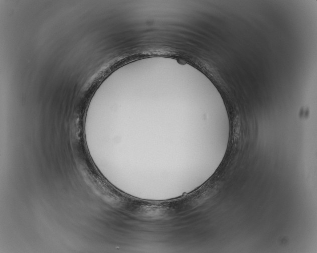 X0000114390351200911131348