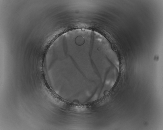 X0000114390353200911131348