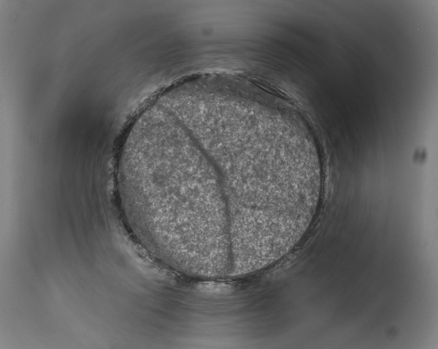 X0000114390354200911131348