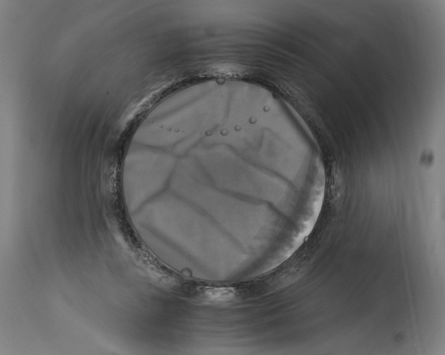 X0000114390355200911131348