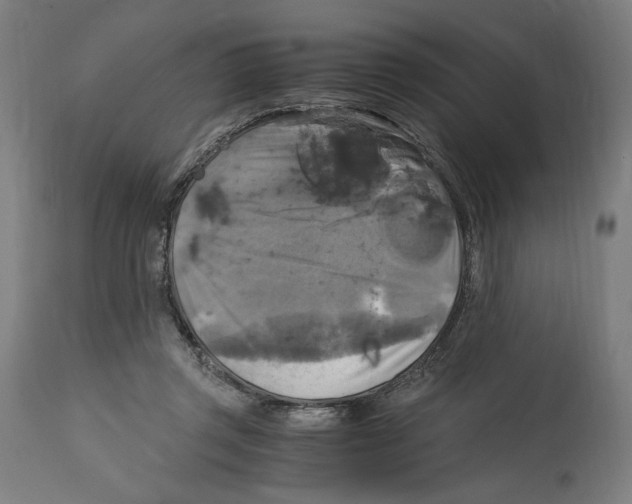 X0000114390357200911131348