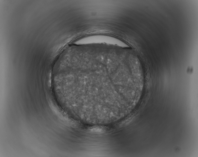 X0000114390358200911131348