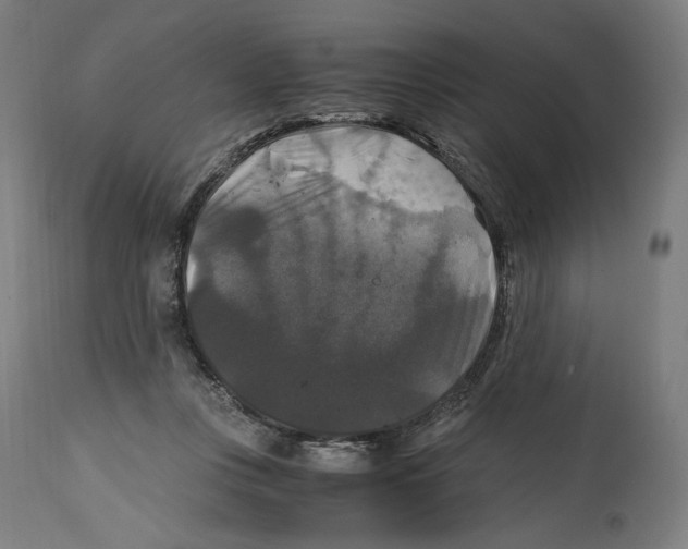 X0000114390359200911131348