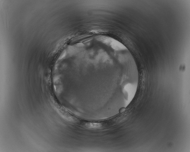 X0000114390361200911131348