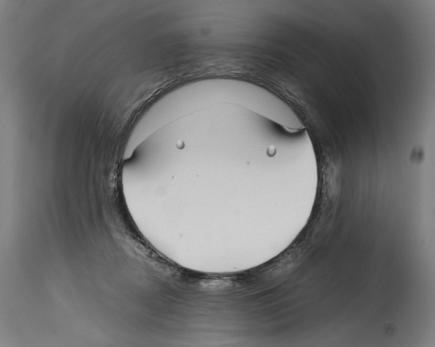 X0000114390362200911131348