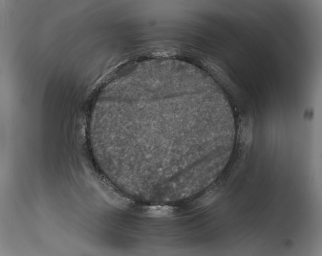 X0000114390363200911131348