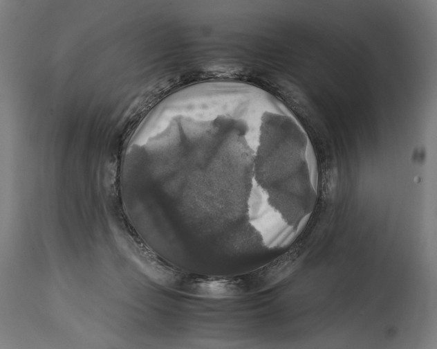 X0000114390365200911131348