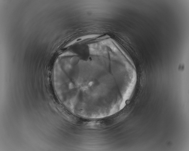 X0000114390366200911131348