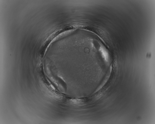 X0000114390367200911131348