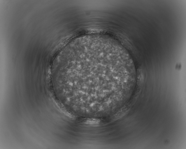 X0000114390369200911131348