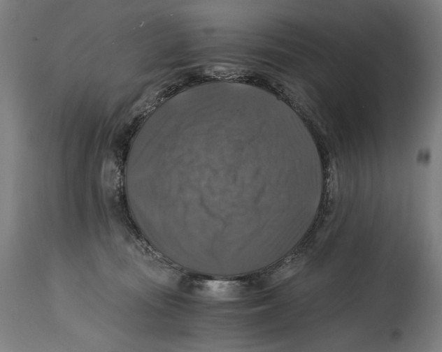 X0000114390371200911131348