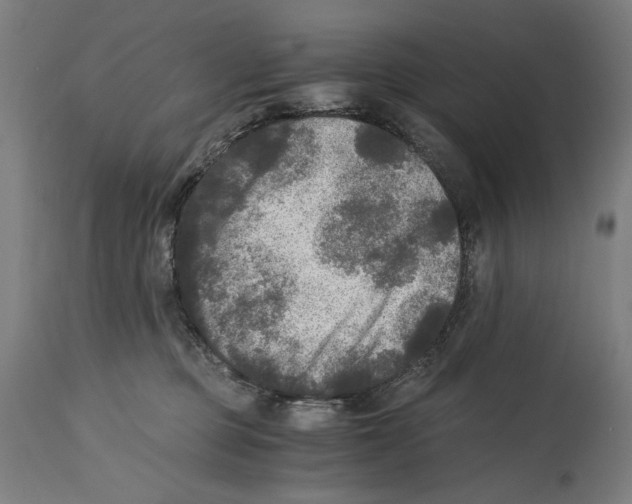 X0000114390373200911131348