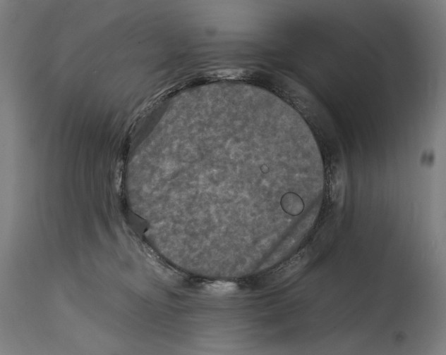 X0000114390374200911131348