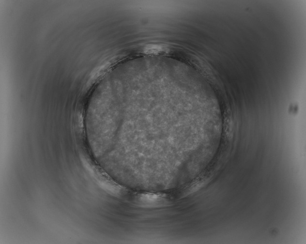 X0000114390375200911131348