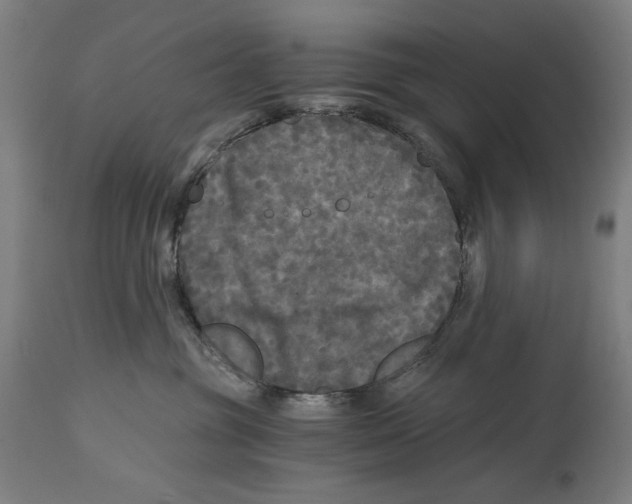 X0000114390381200911131348