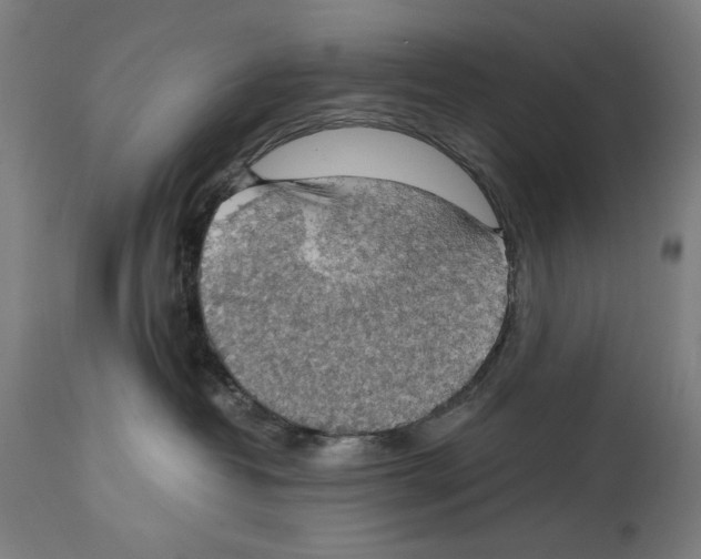 X0000114390382200911131348