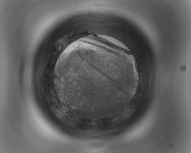 X0000114390383200911131348