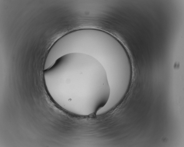 X0000114390385200911131347