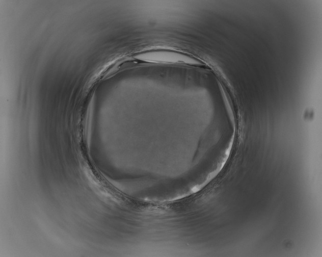 X0000114390386200911131347