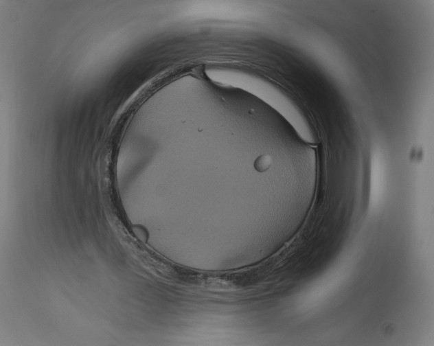 X0000114390387200911131347