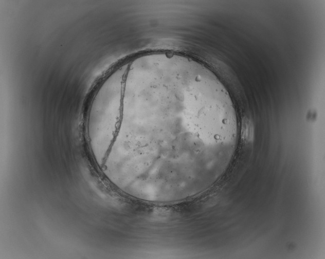 X0000114390388200911131347